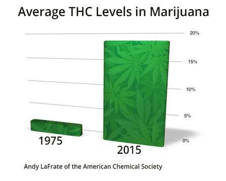 Average potency of marijuana, 1975 and 2015.